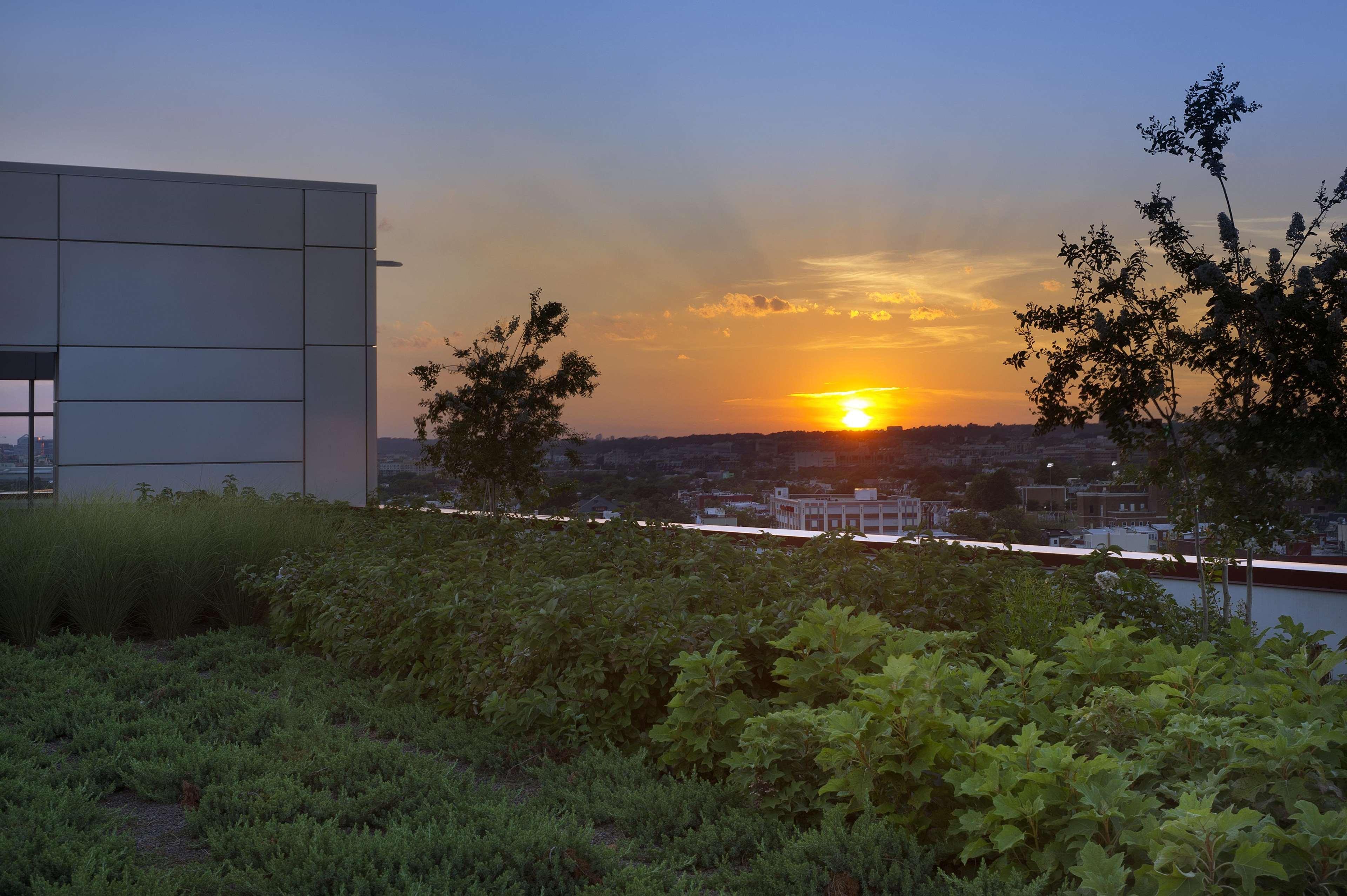 Homewood Suites By Hilton Washington Dc Noma Union Station Eksteriør billede